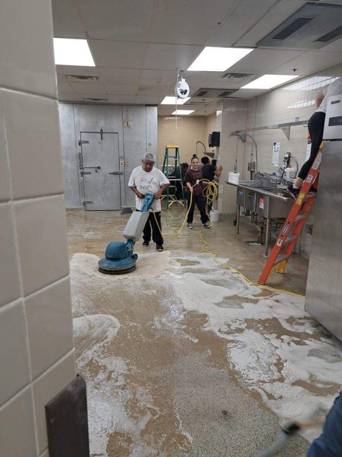 MAYO work in action