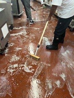 MAYO work in action