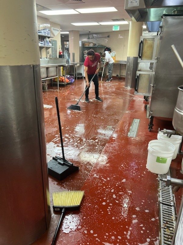 MAYO work in action